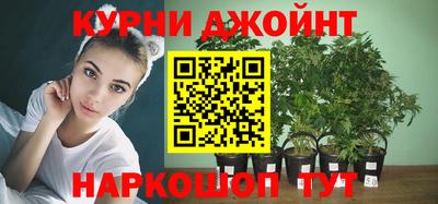 дмт Ефремов