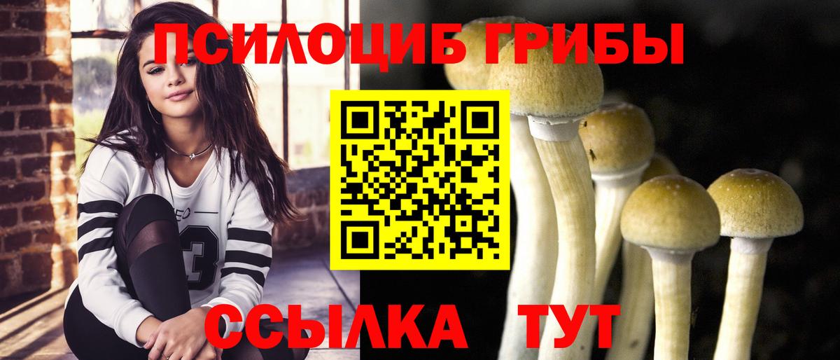 Псилоцибиновые грибы мицелий Джанкой