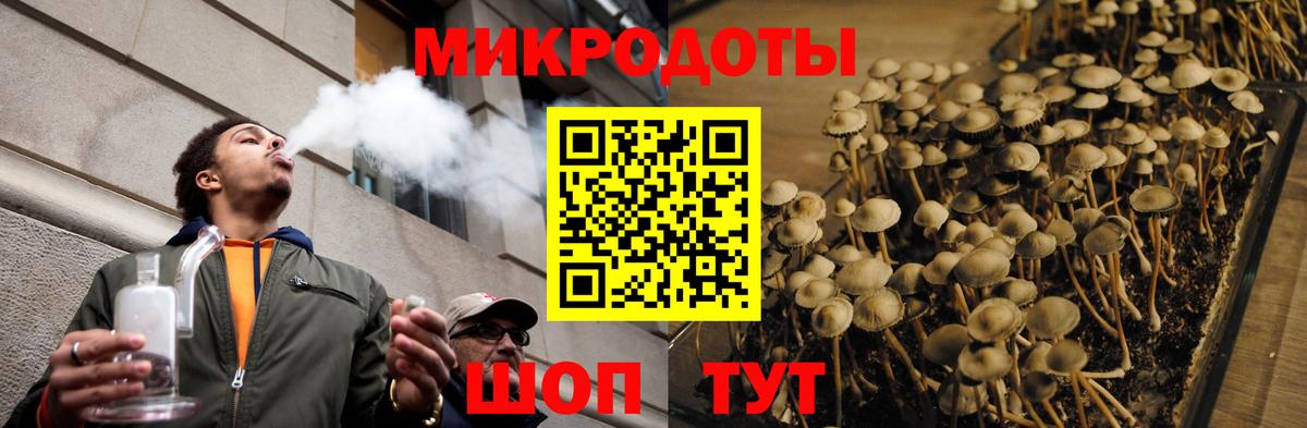 Джанкой  Галлюциногенные грибы прущие грибы  Вход с VPN 